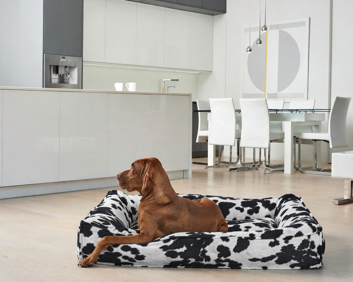 Bowsers Divine Dog Bed Futon Dog Bed - Cloud-Like Cushioning for Stretch-Out Sleep