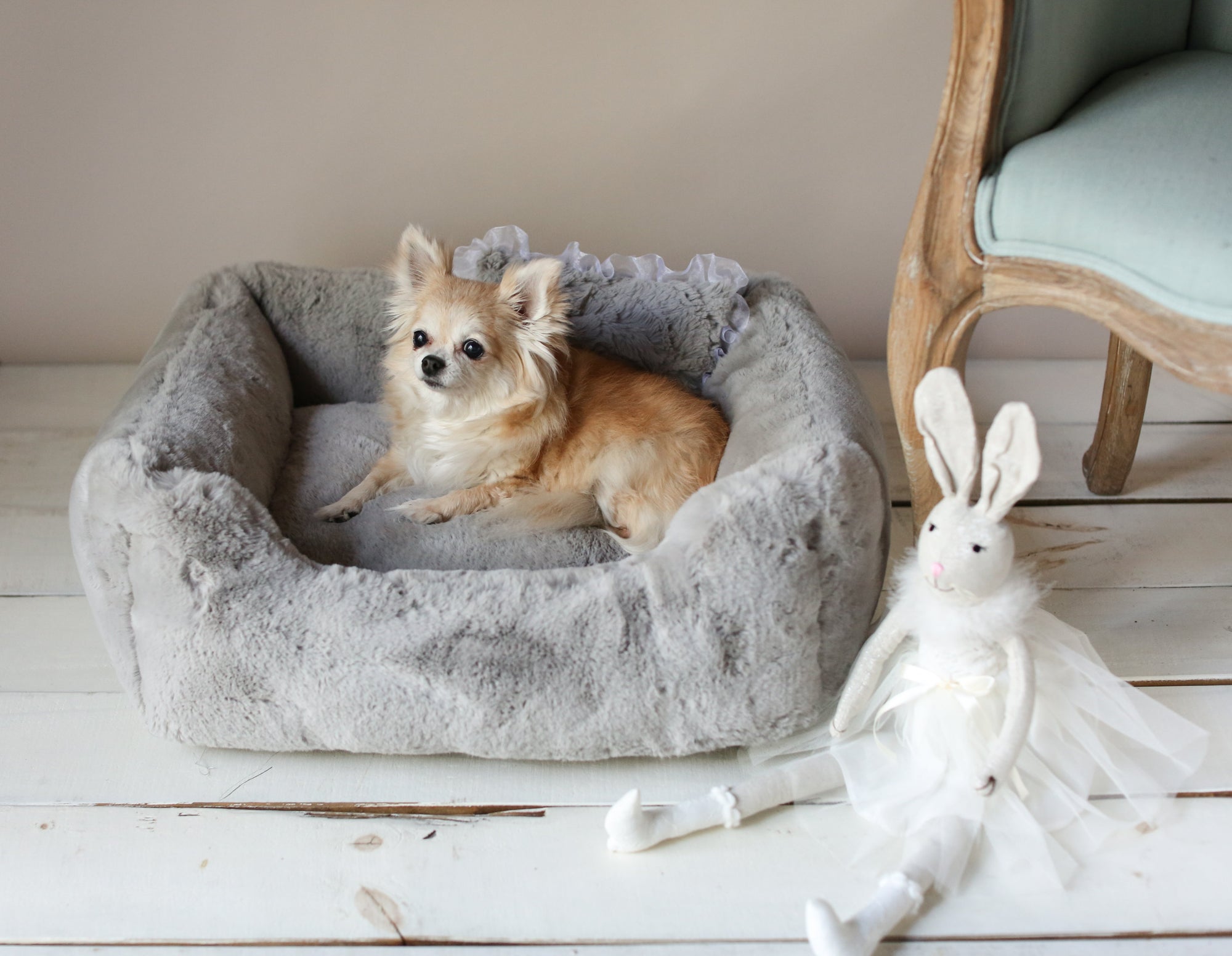 Hello Doggie the Divine Black Dog Bed