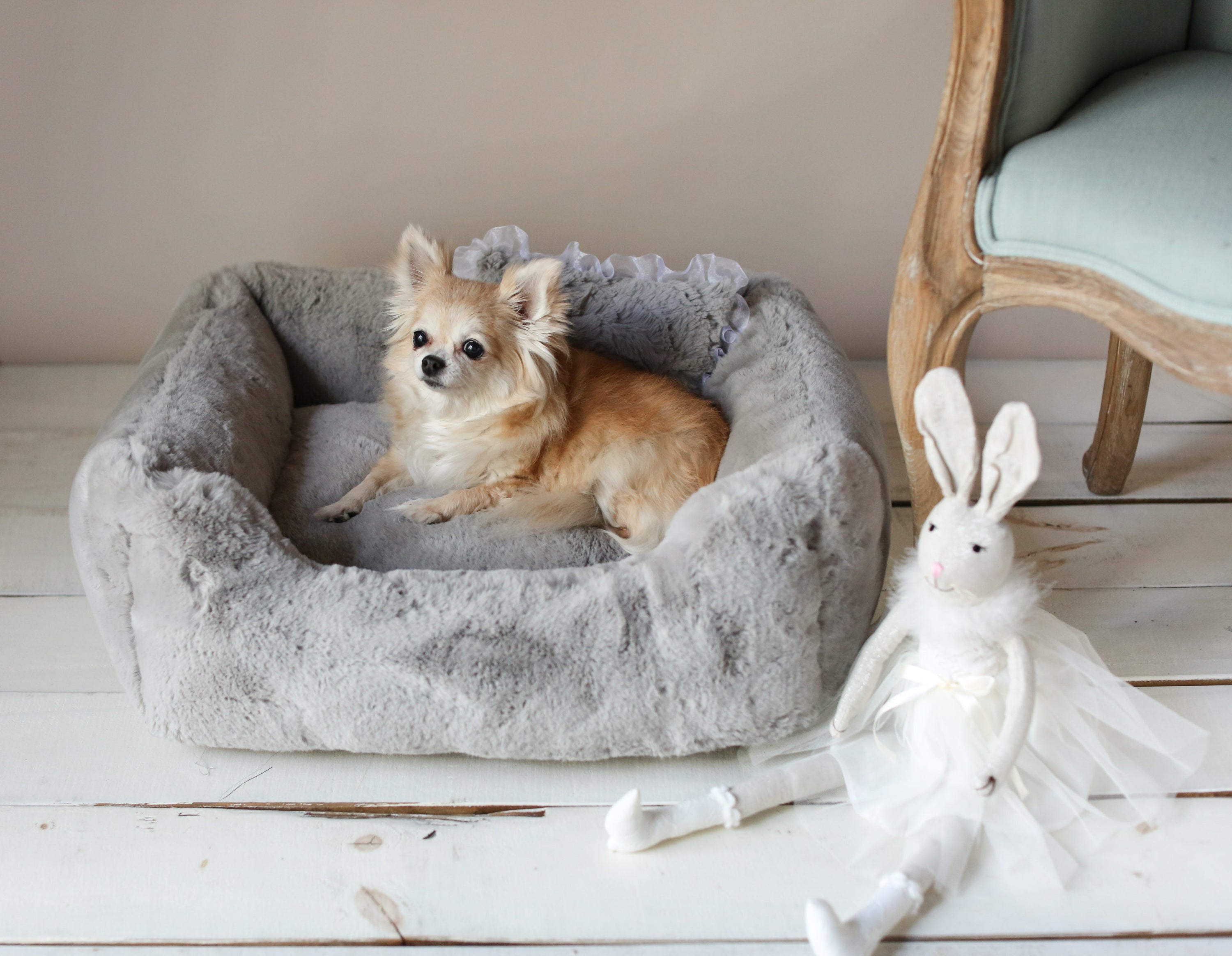 Hello Doggie the Divine White Dog Bed