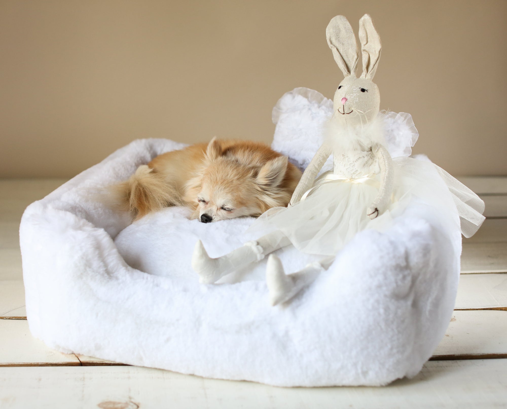 Hello Doggie the Divine Black Dog Bed
