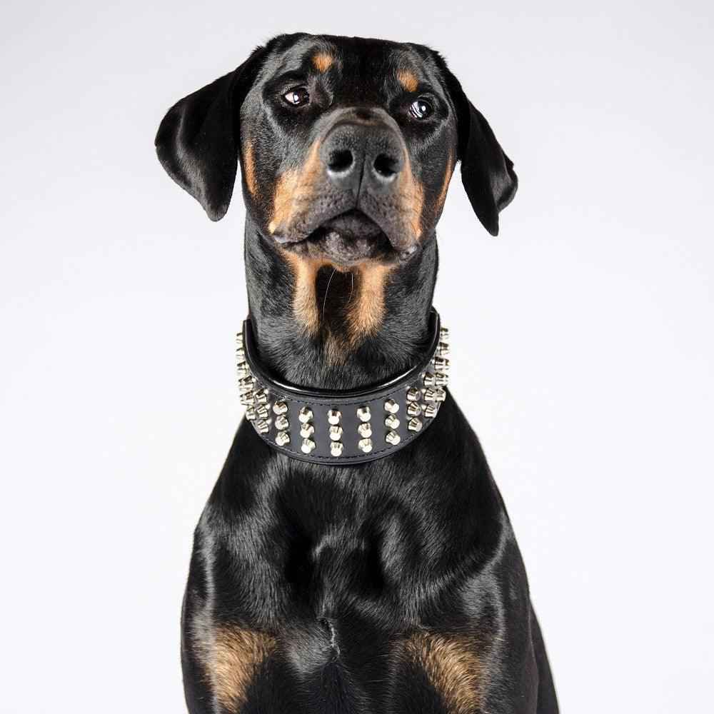 Bestia Stud Leather Dog Collar