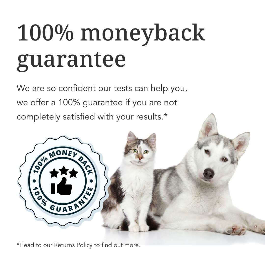 Basic Dog Intolerance Test