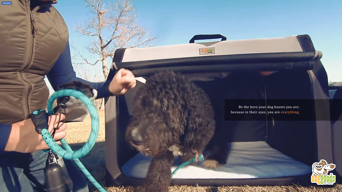 The Foldable Travel Dog Crate By DogGoods