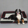 DogPACER Dog Bed