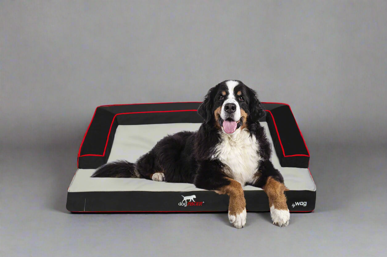 DogPACER Dog Bed
