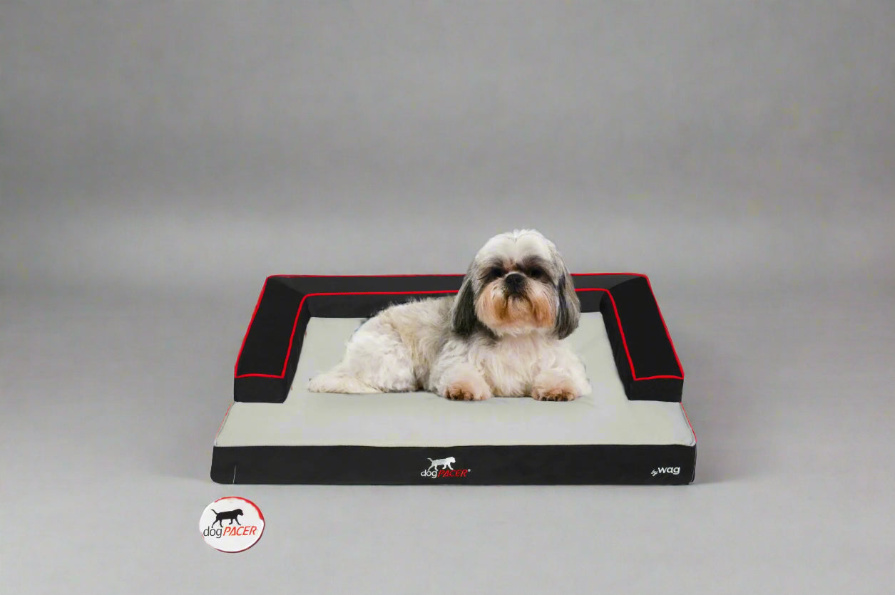 DogPACER Dog Bed