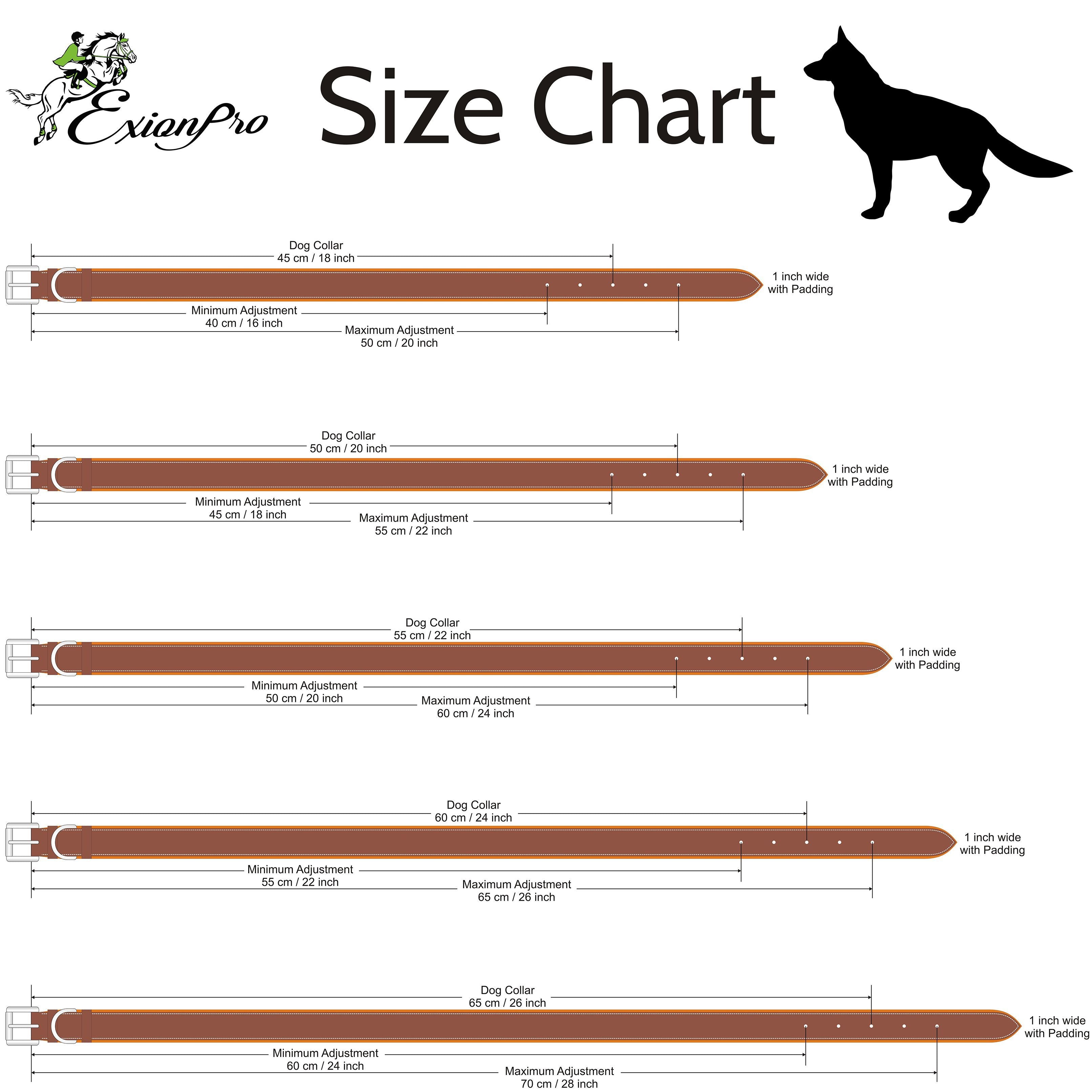 ExionPro Fancy Stitched Padded Leather Dog Collar - Conker Padding