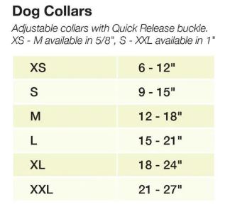 Color Market Dog Collar - Narrow