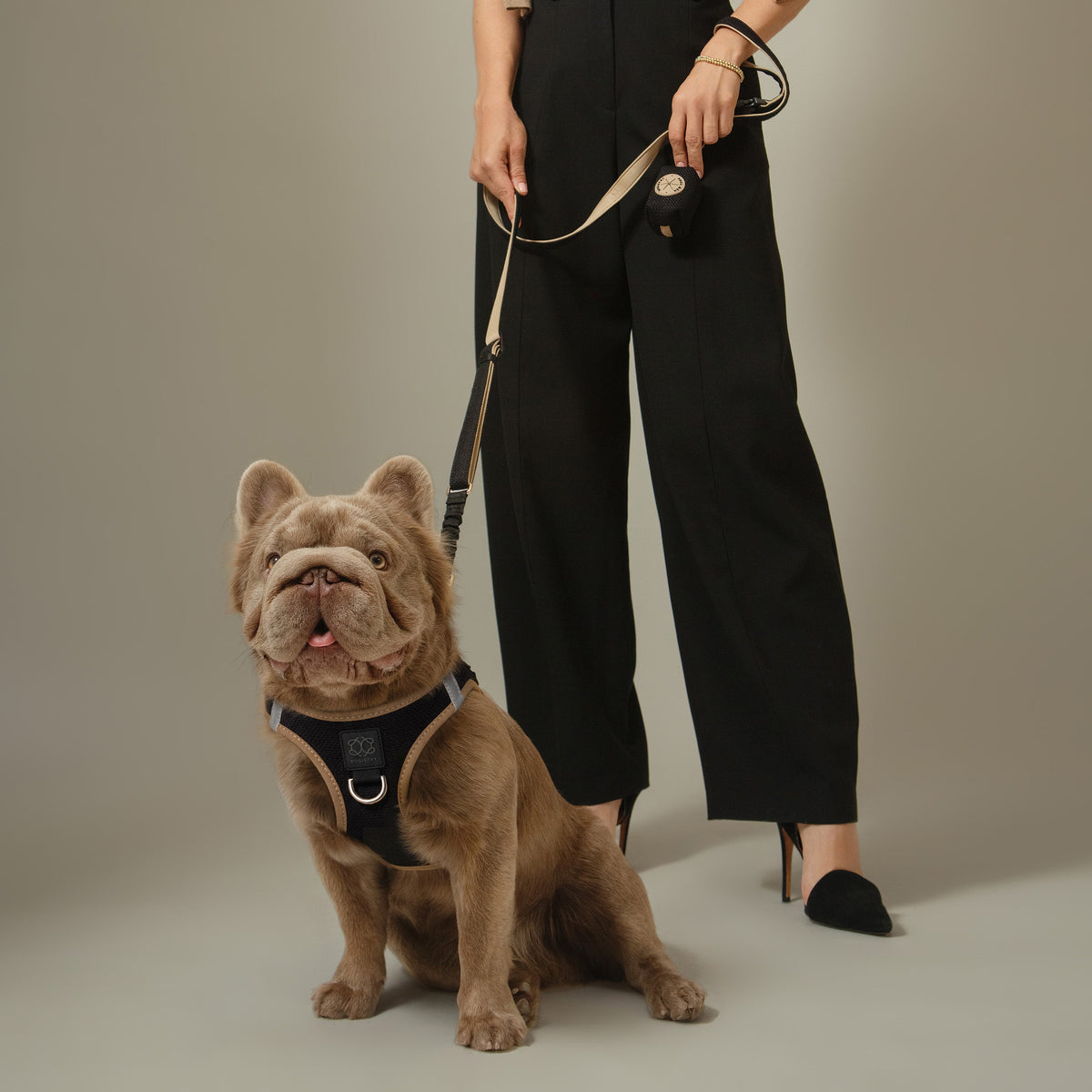 DOGISTRY 3-in-1 City Dog Leash - Crosby