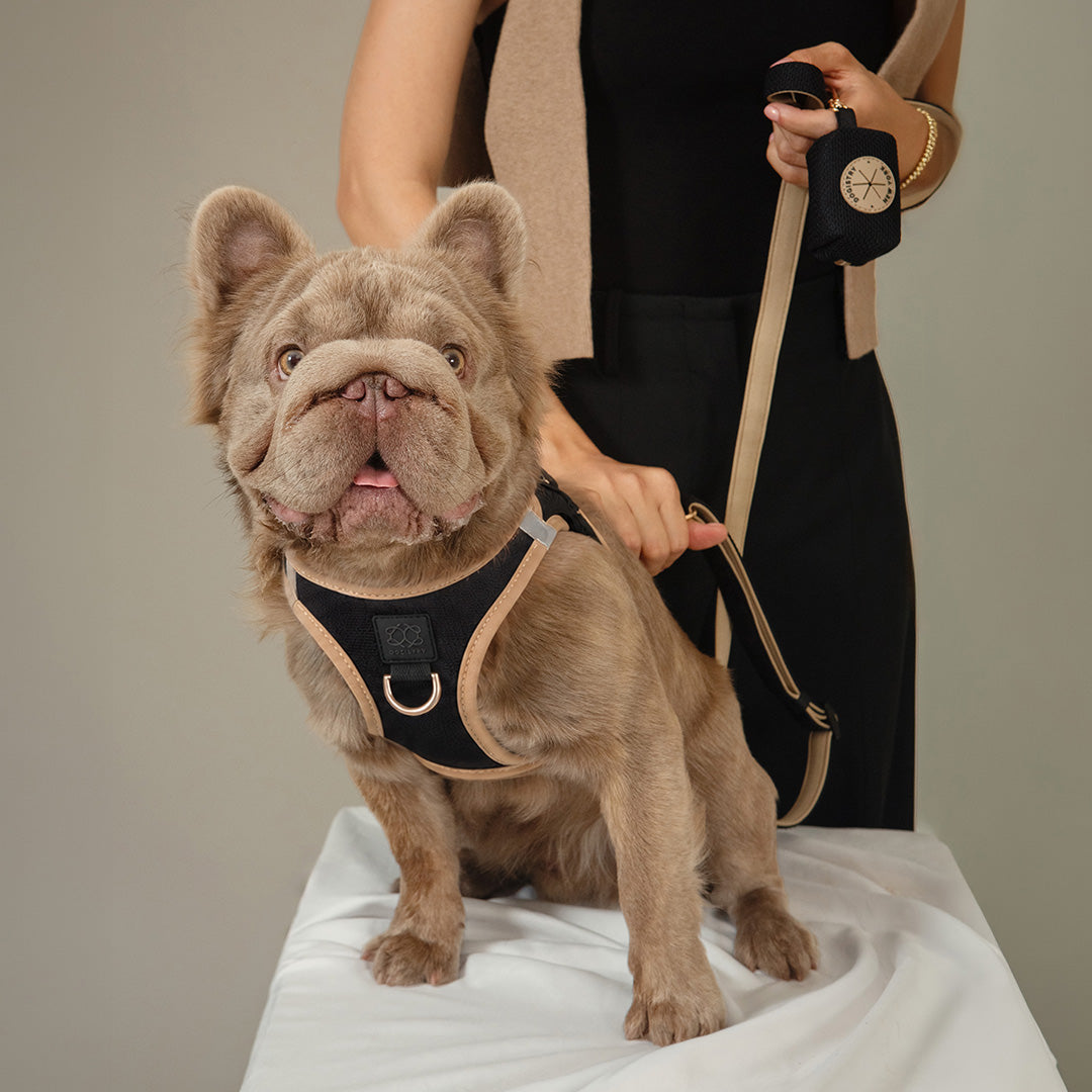 DOGISTRY Dog Waste Bag Holder - Crosby