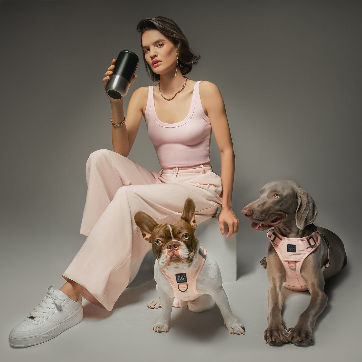 DOGISTRY SoHo Dog Harness - Sweetheart