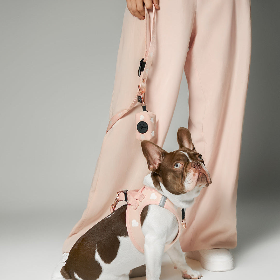 DOGISTRY 3-in-1 City Dog Leash - Sweetheart