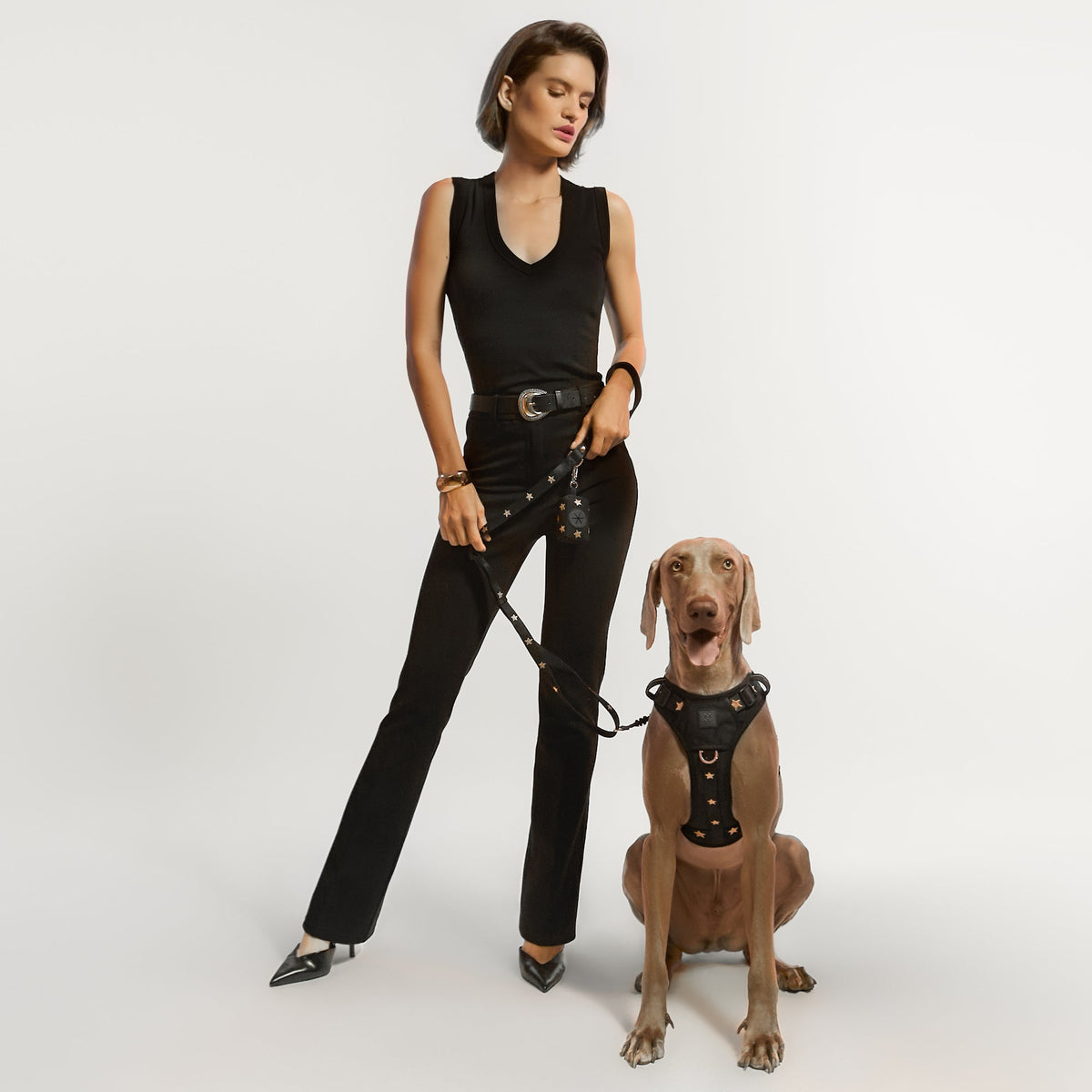 DOGISTRY NoMad Adjustable Luxe Harness - Rockstar
