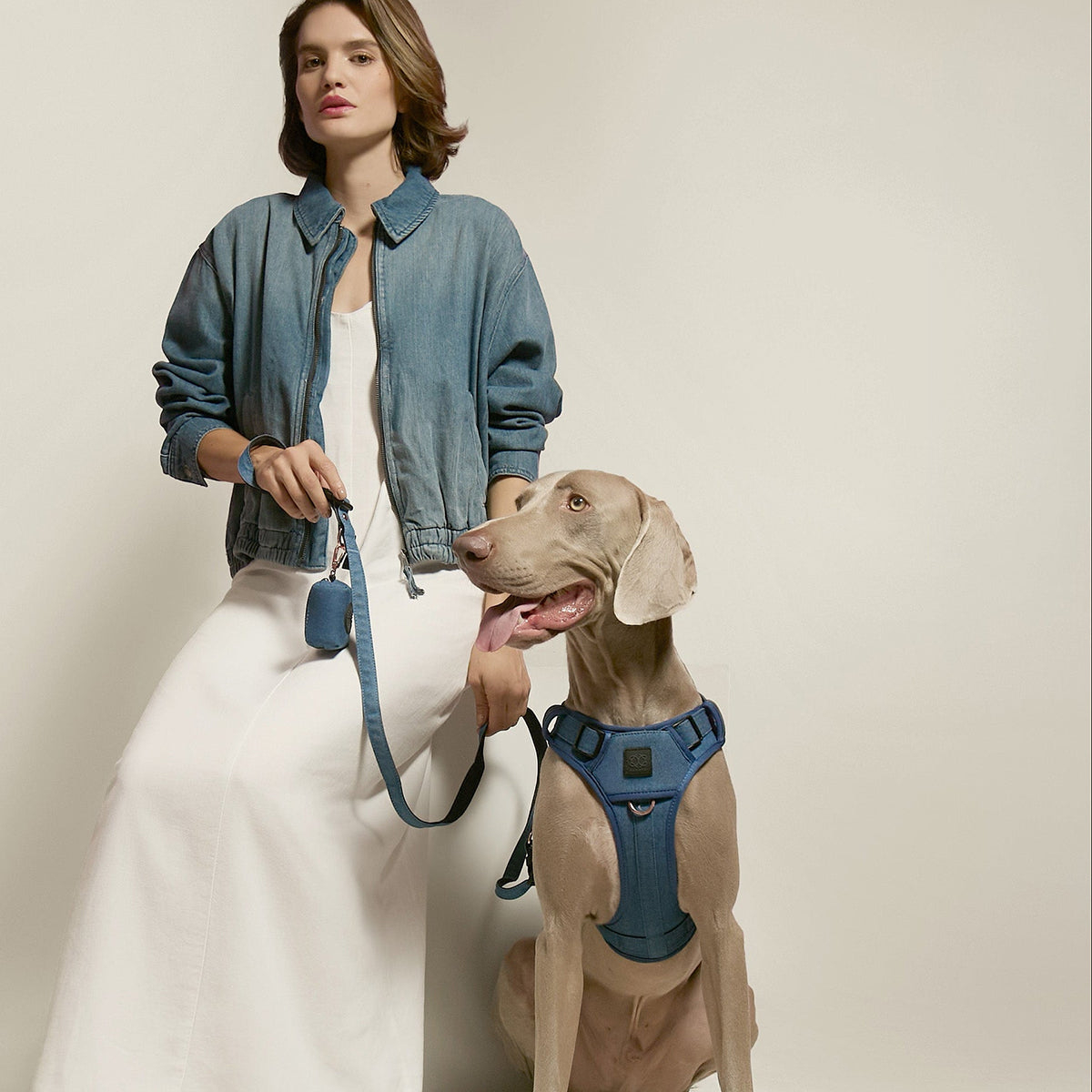 DOGISTRY NoMad Adjustable Luxe Harness - Denim