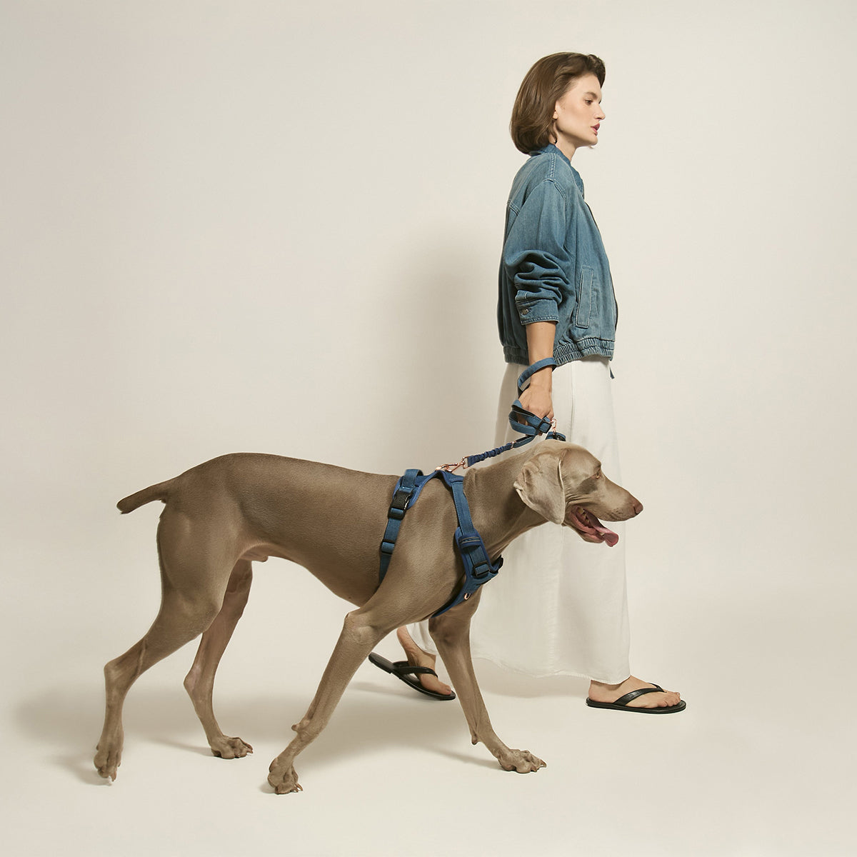 DOGISTRY 3-in-1 City Dog Leash - Denim