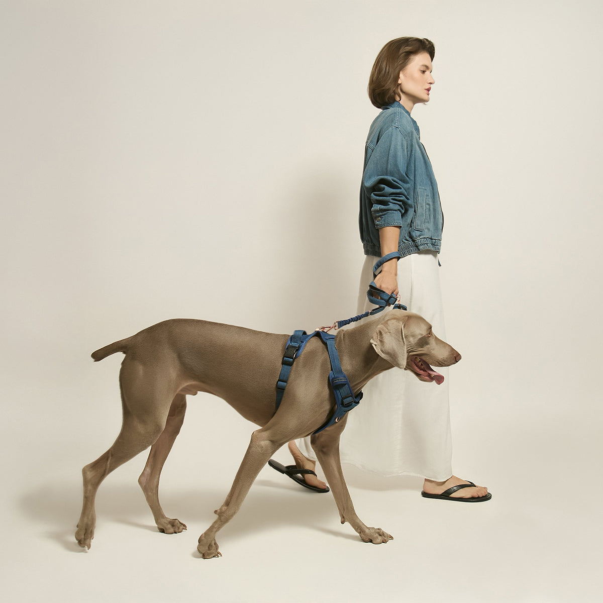 DOGISTRY NoMad Adjustable Luxe Harness - Denim