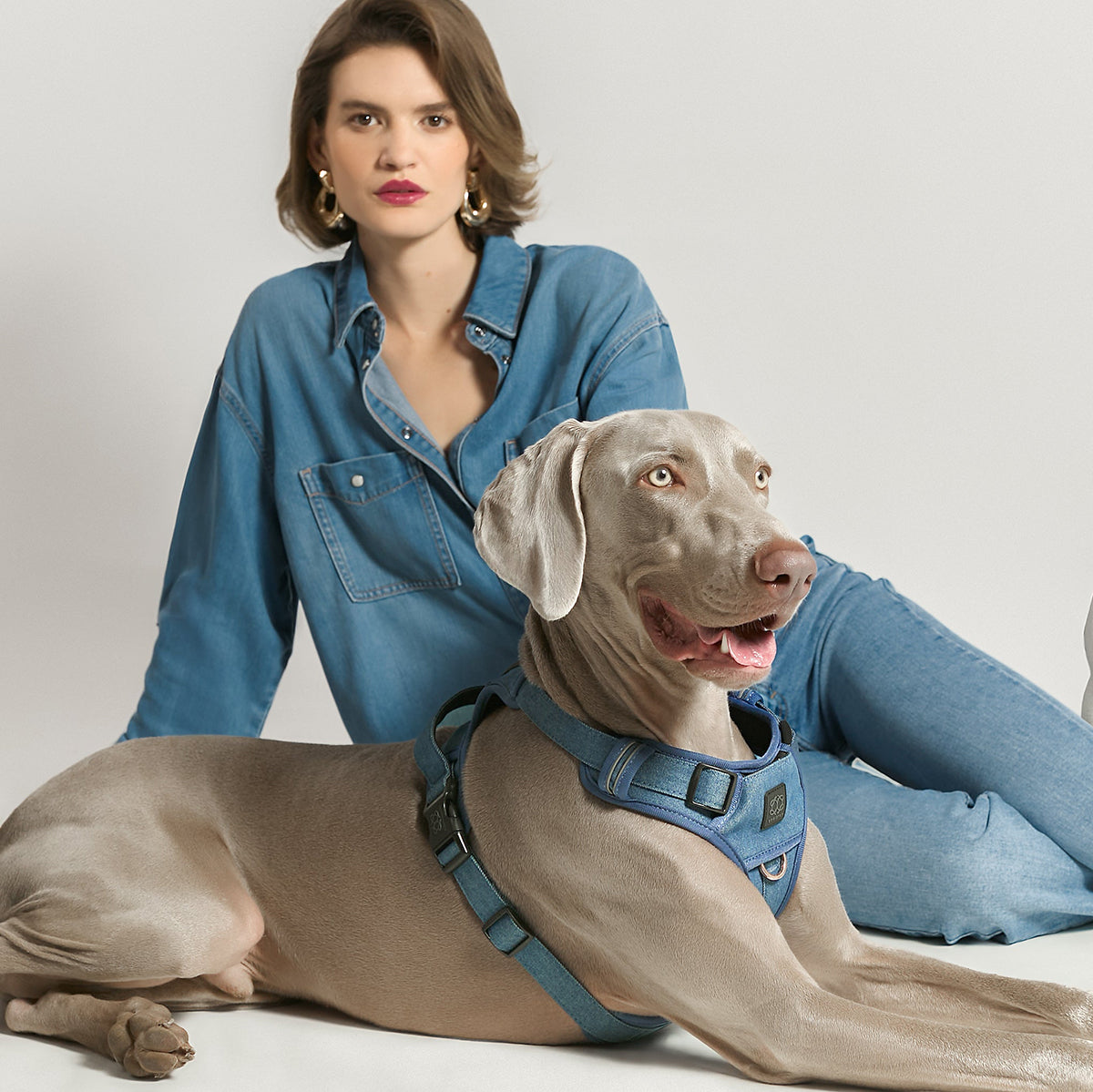 DOGISTRY NoMad Adjustable Luxe Harness - Denim