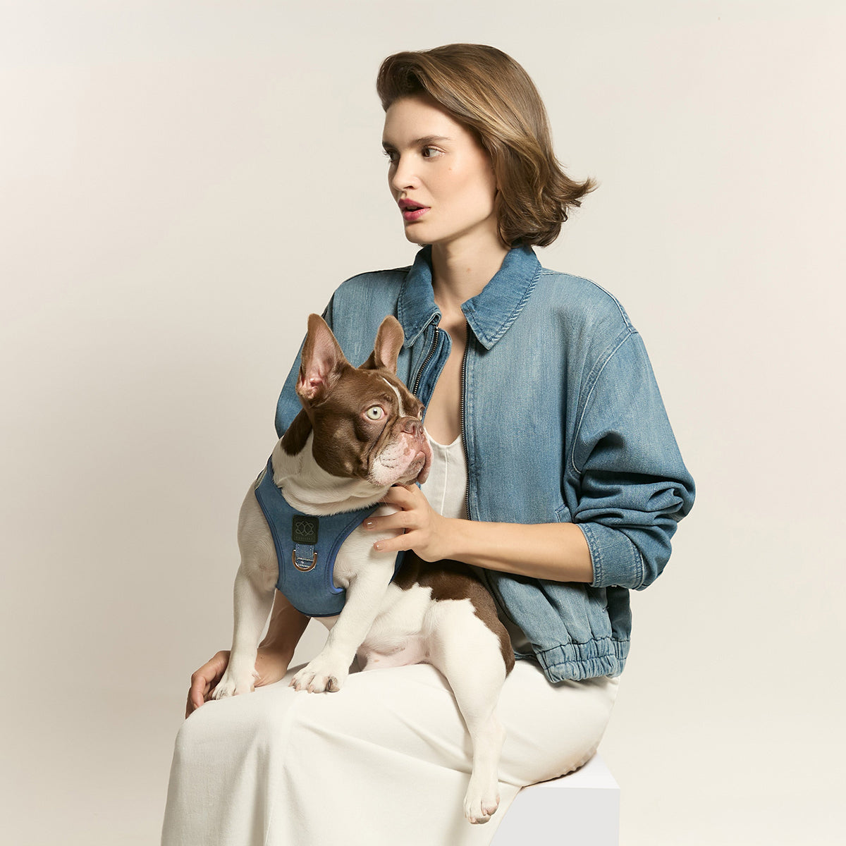 DOGISTRY SoHo Dog Harness - Denim