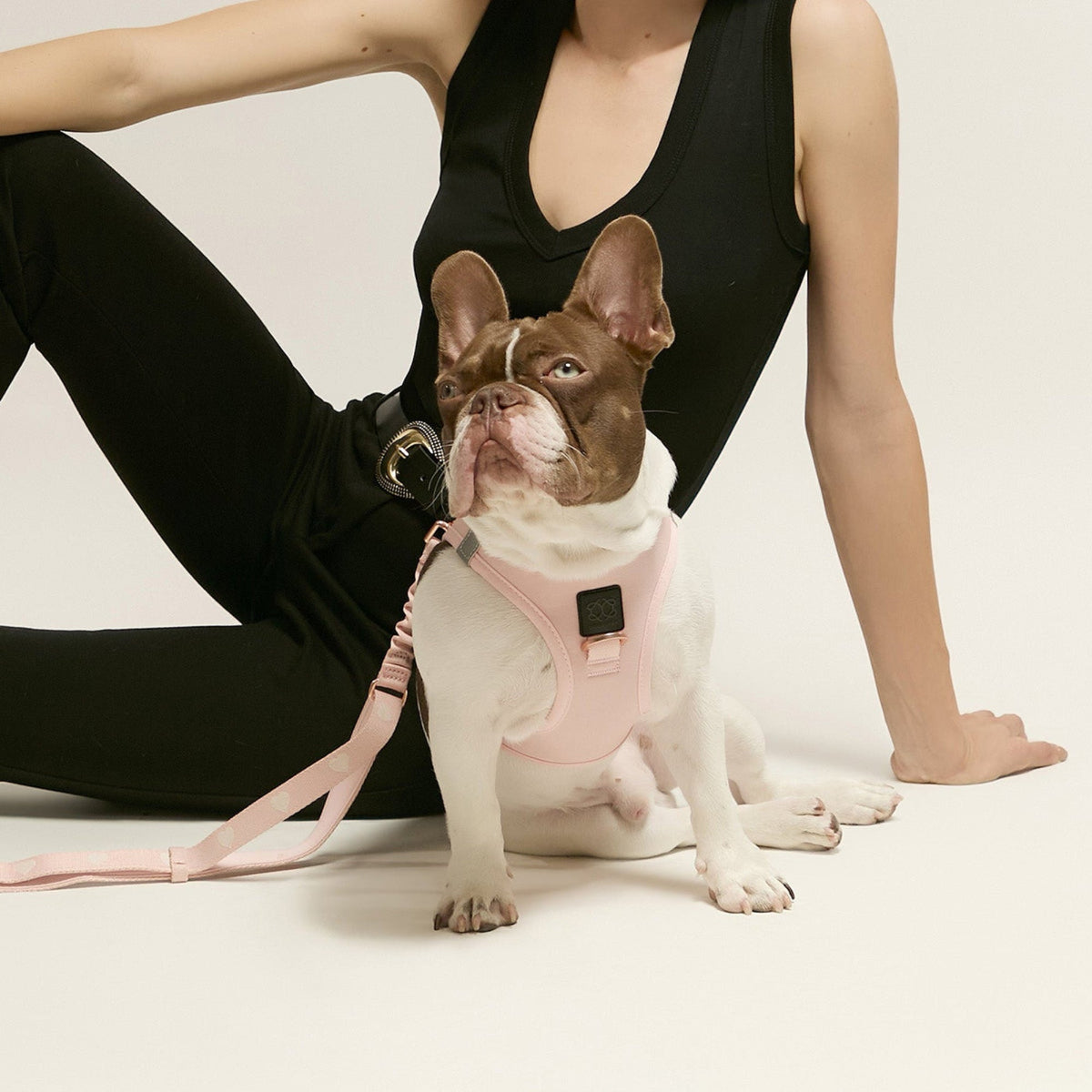 DOGISTRY SoHo Dog Harness - Blush Pink