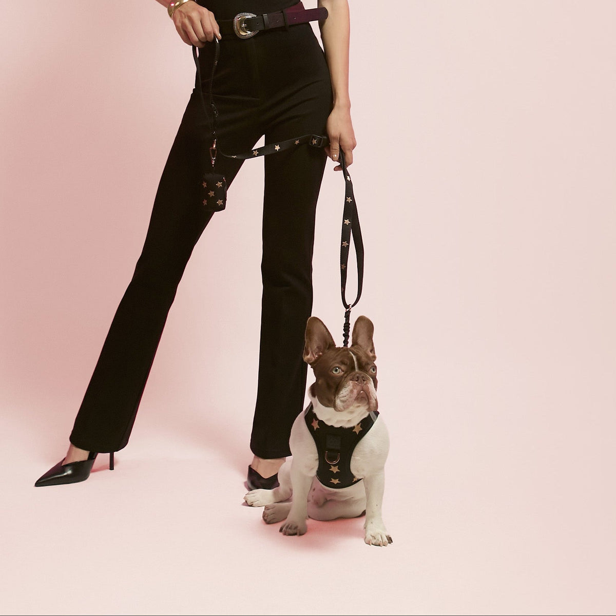 DOGISTRY Dog Waste Bag Holder - Rockstar