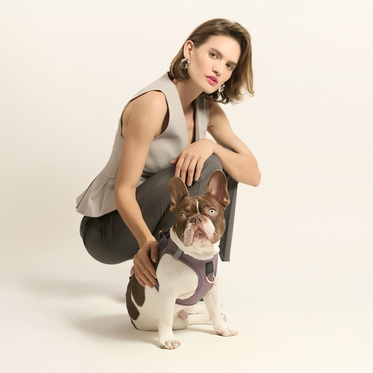 DOGISTRY SoHo Dog Harness - Lilac Gray