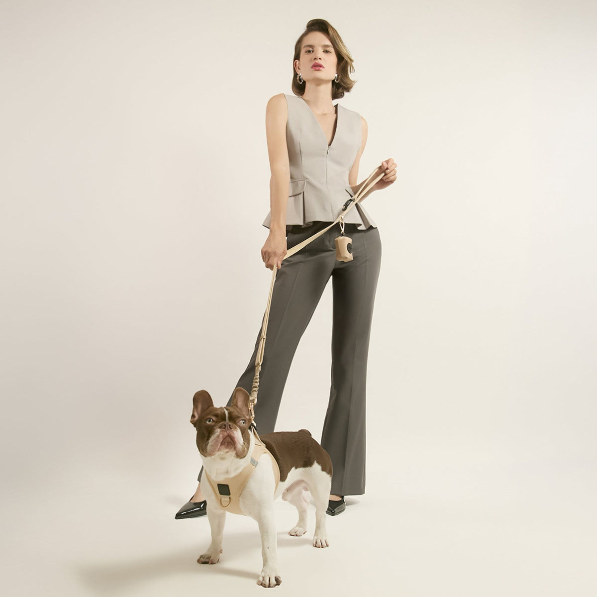 DOGISTRY SoHo Dog Harness - Dune