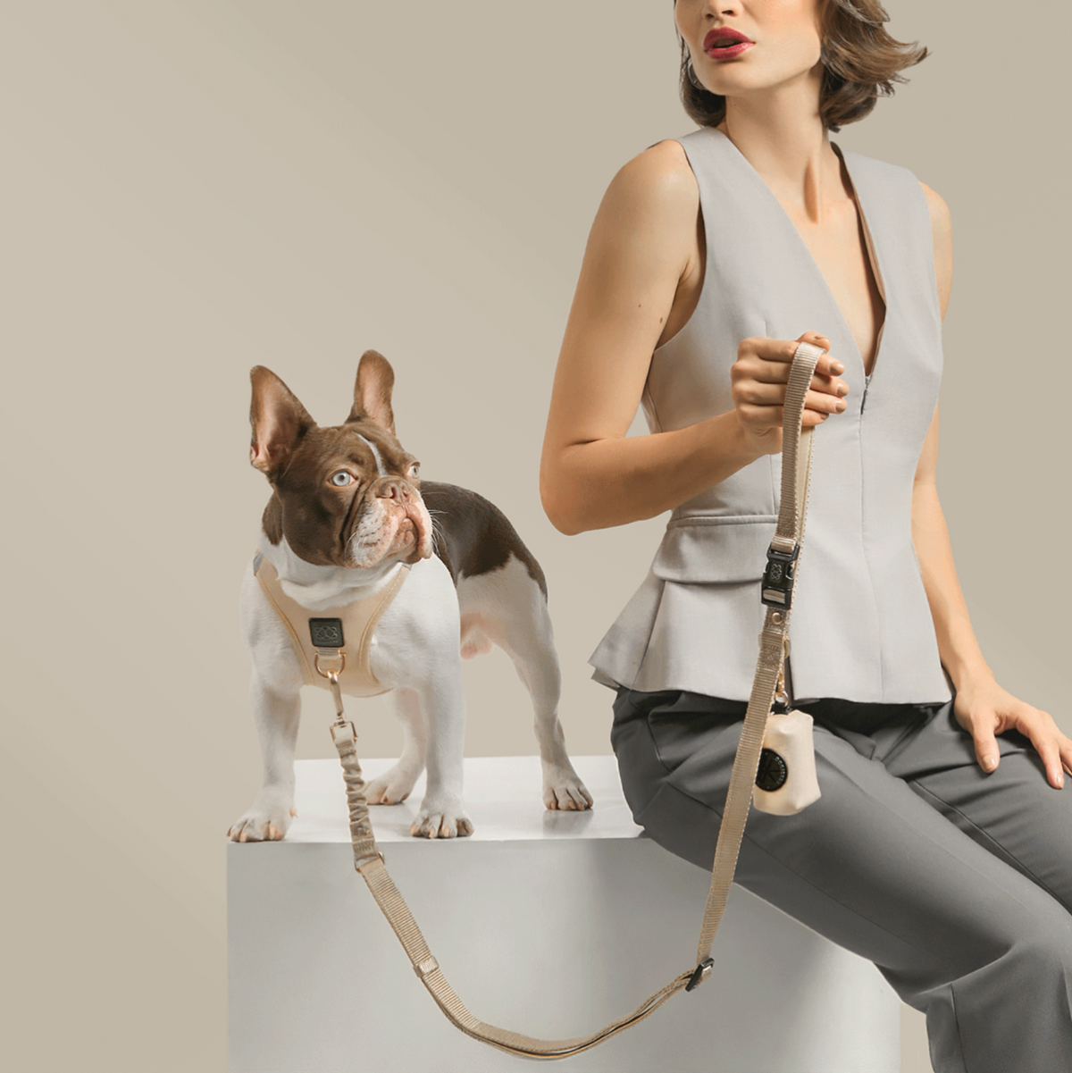 DOGISTRY Dog Waste Bag Holder - Dune
