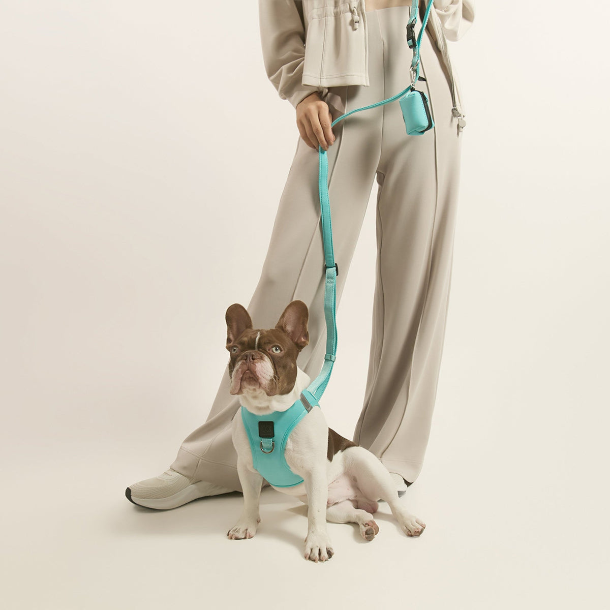 DOGISTRY Dog Waste Bag Holder - Fifth Avenue