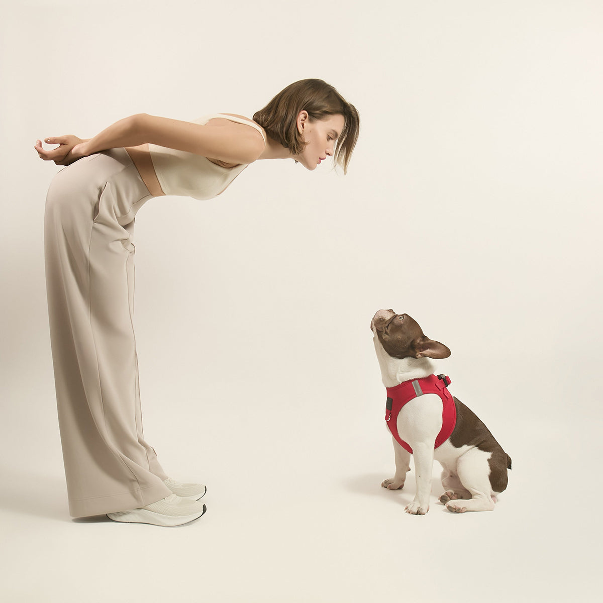 DOGISTRY SoHo Dog Harness - Iconic Red