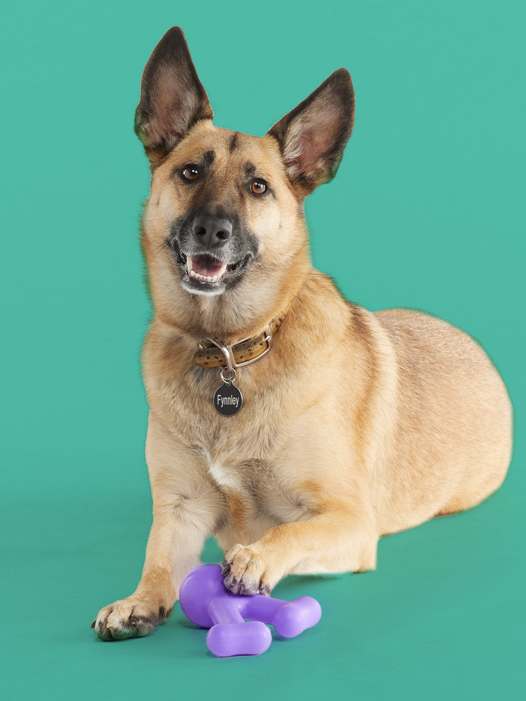 FunnyBone Dog Chew Toy