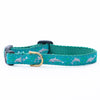 Up Country Dolphin Small Breed Dog Collar Made in USA