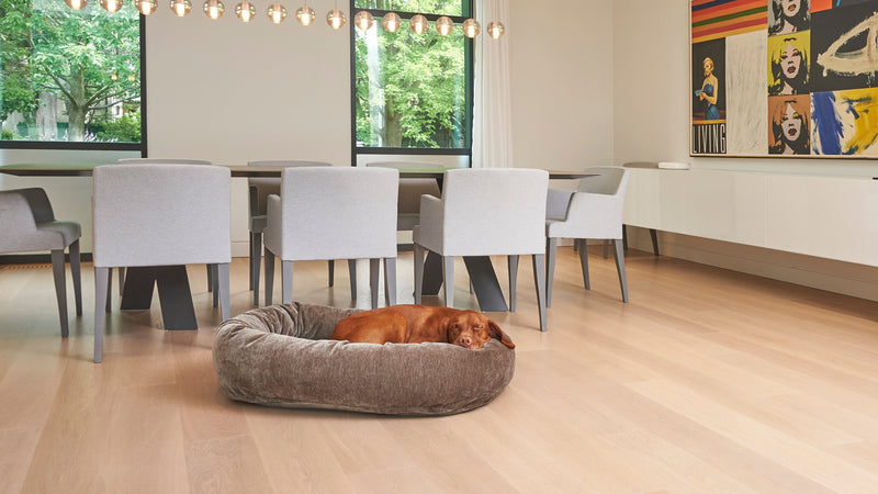 SALE: Bowsers Luxury Calming Donut Dog Bed - Premium Plush Round Bed