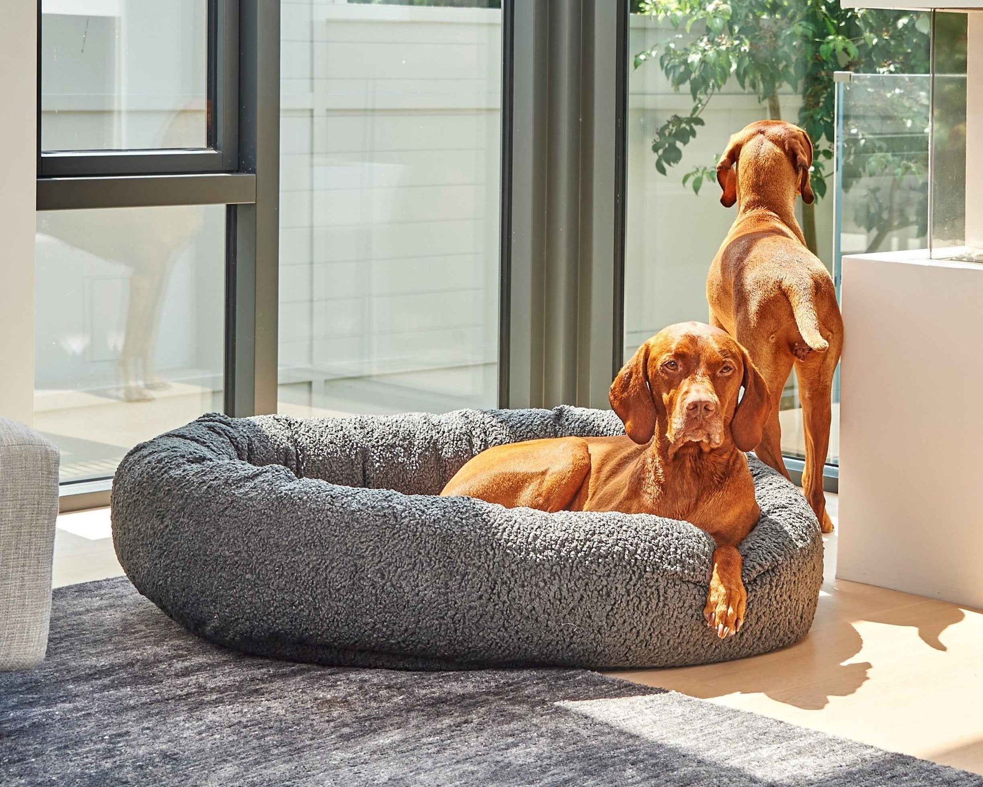 Bowsers Signature Solids Calming Dog Bed Calming Donut Dog Bed - Plush Nesting Comfort for Secure Sleep