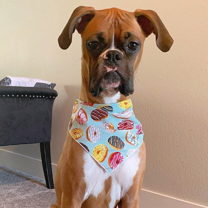 Donuts Tie Dog Bandana