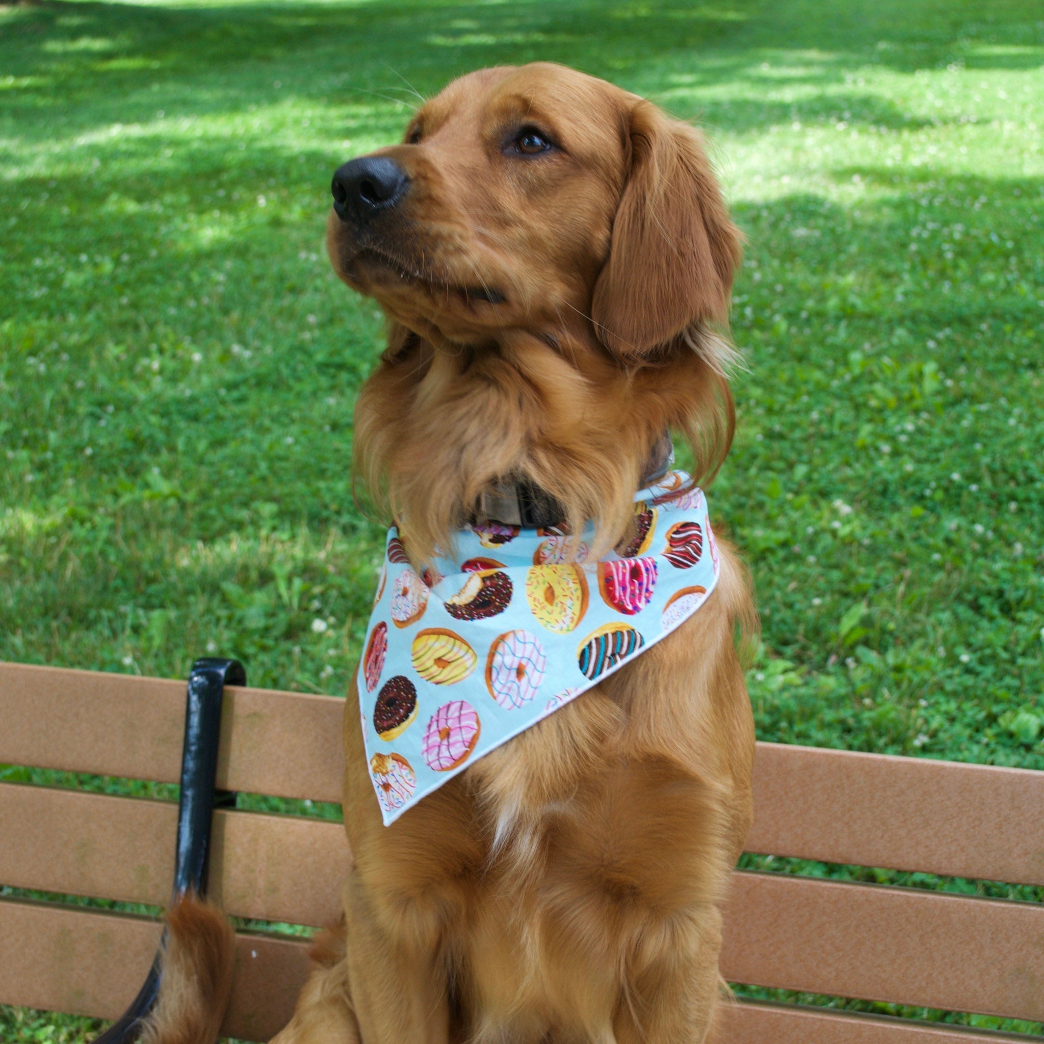 Donuts Tie Dog Bandana