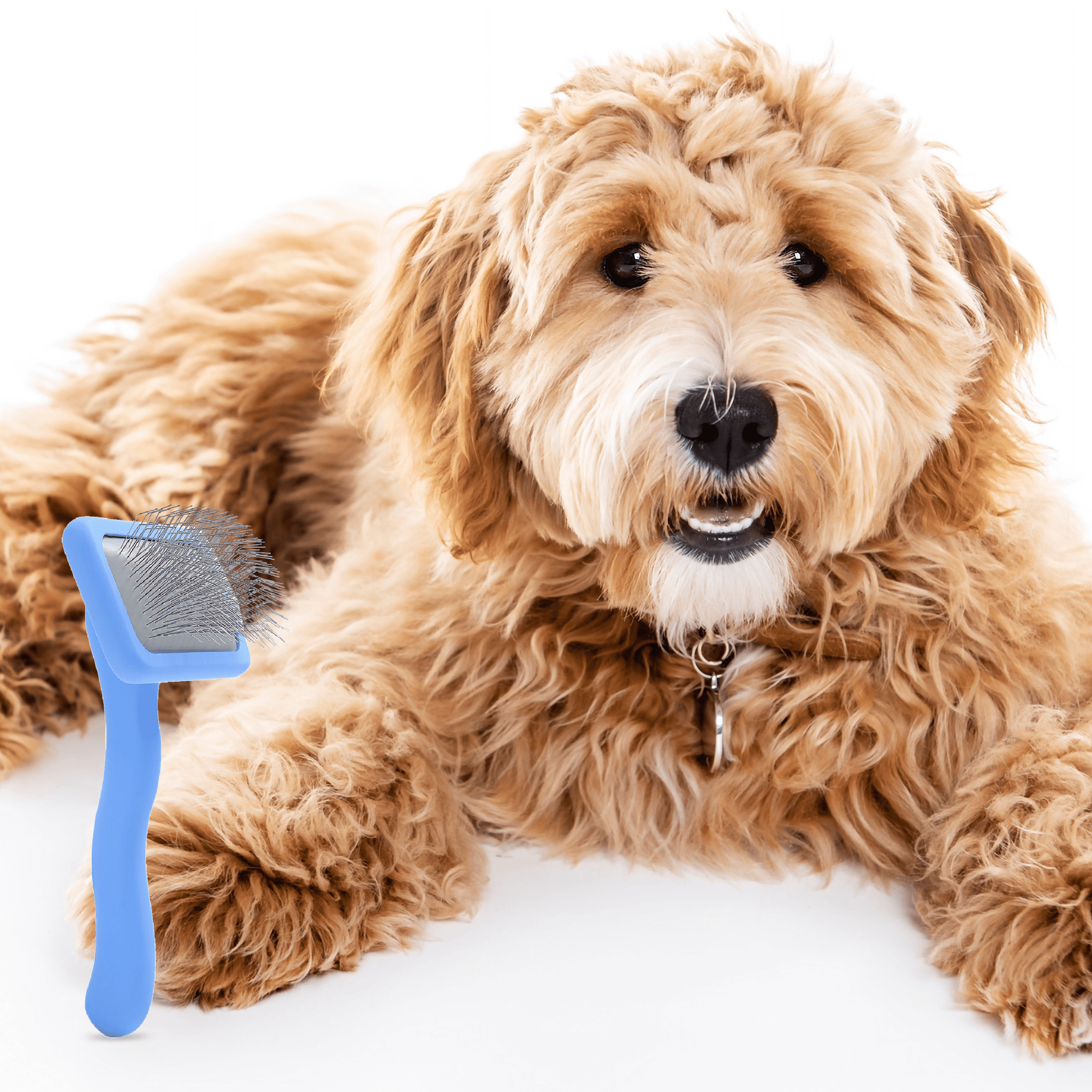 Slicker Brush for Dogs Small