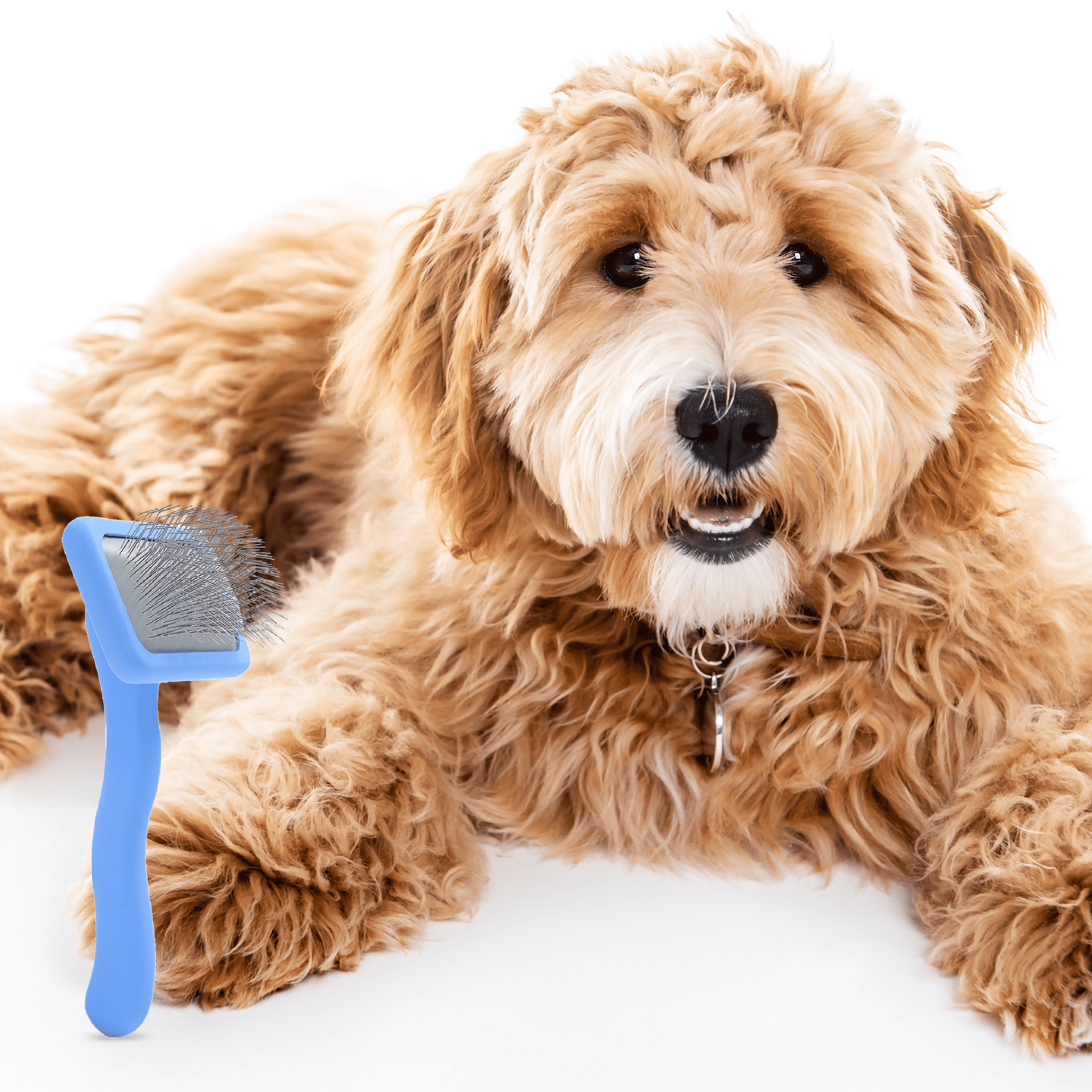 Slicker Brush for Dogs Small