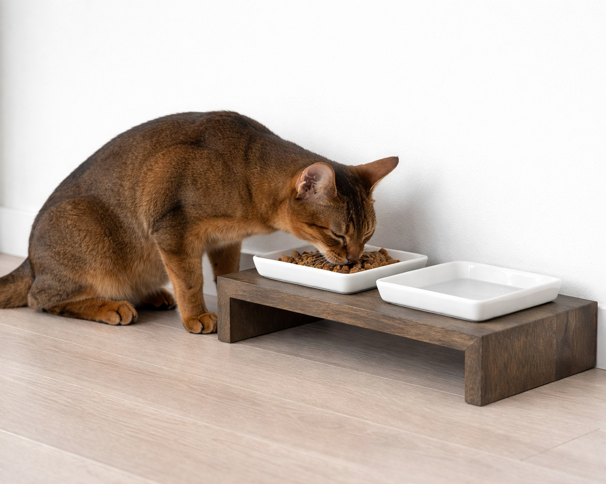 Bowsers Double Artisan Wood Dog Bowl Feeder - Elevated Designer Pet Dining