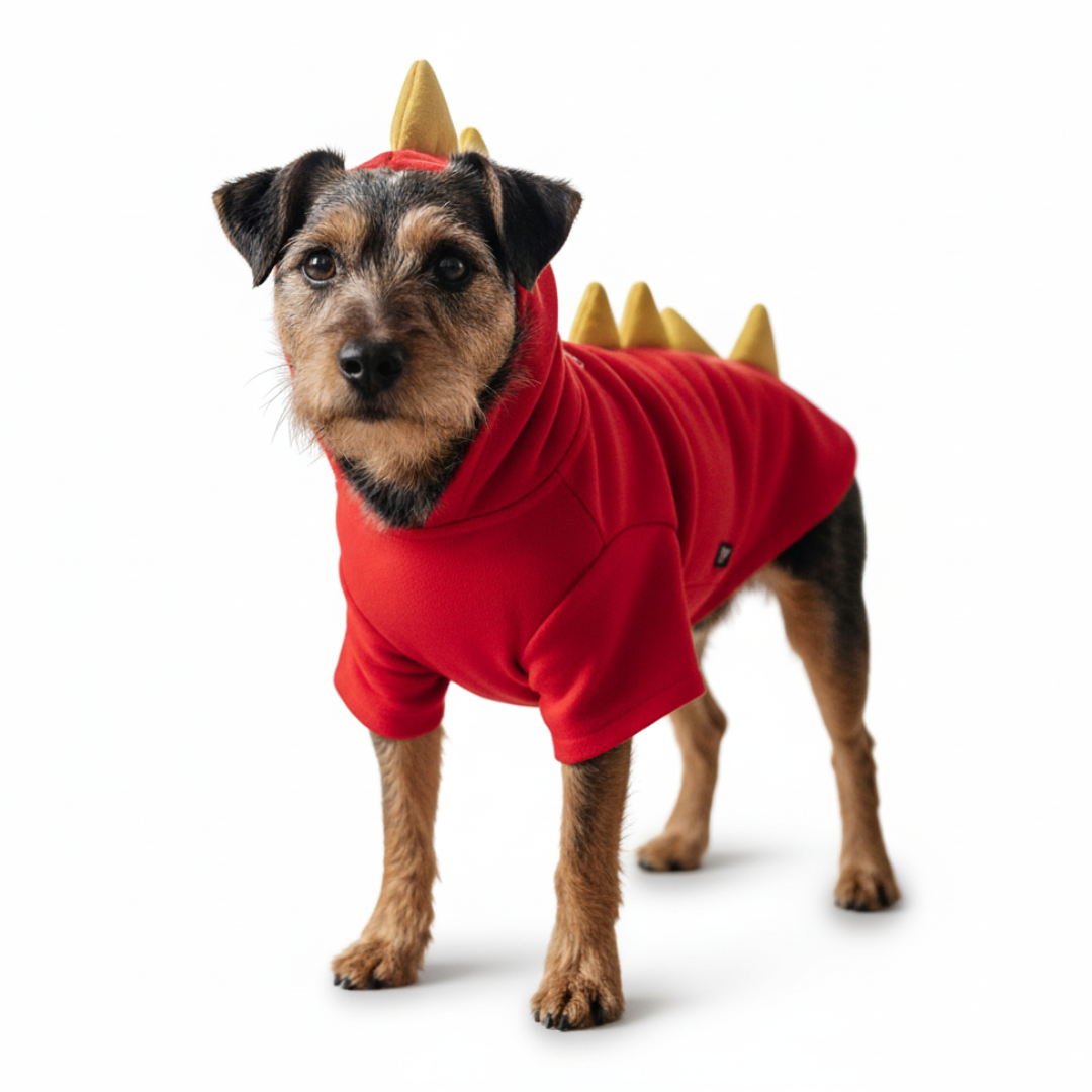 DOGO Dragon Dog Sweatshirt