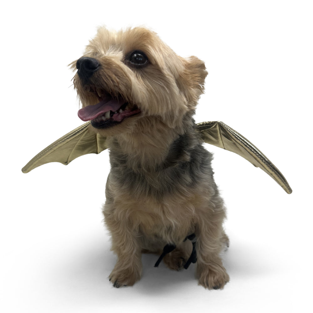 DOGO Dragon Dog Costume Wings