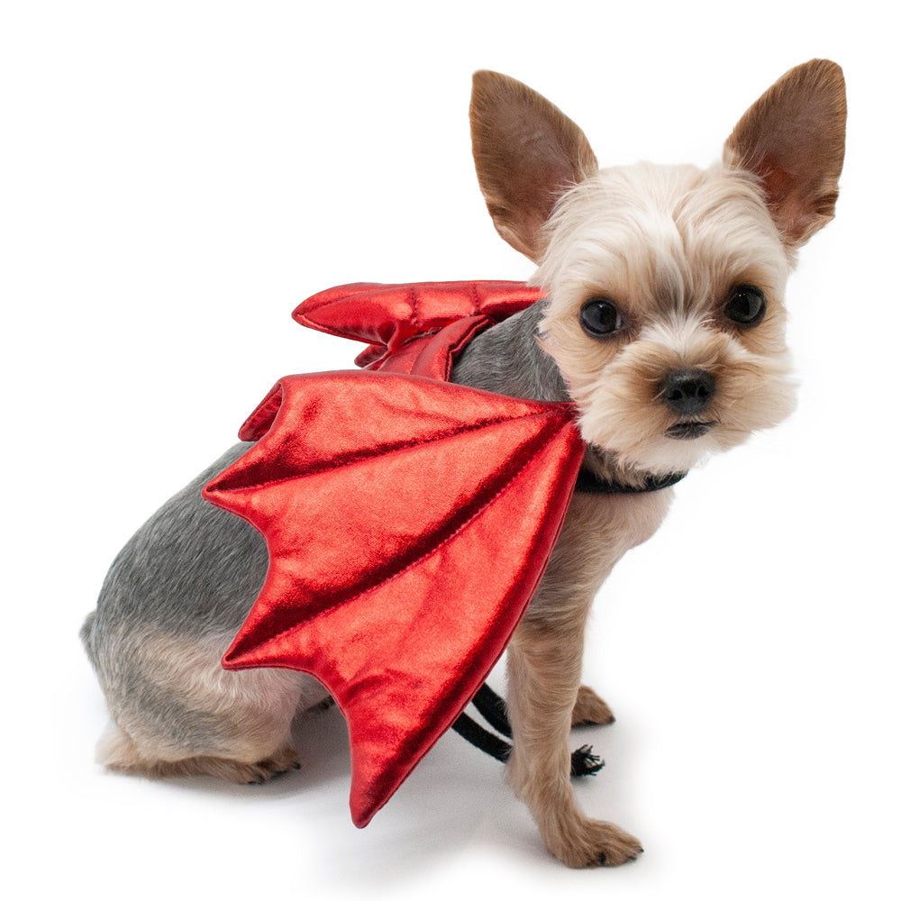 DOGO Dragon Dog Costume Wings