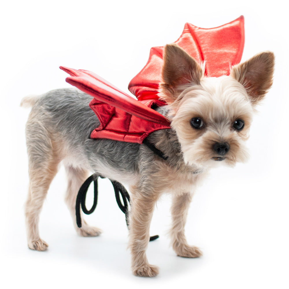 DOGO Dragon Dog Costume Wings