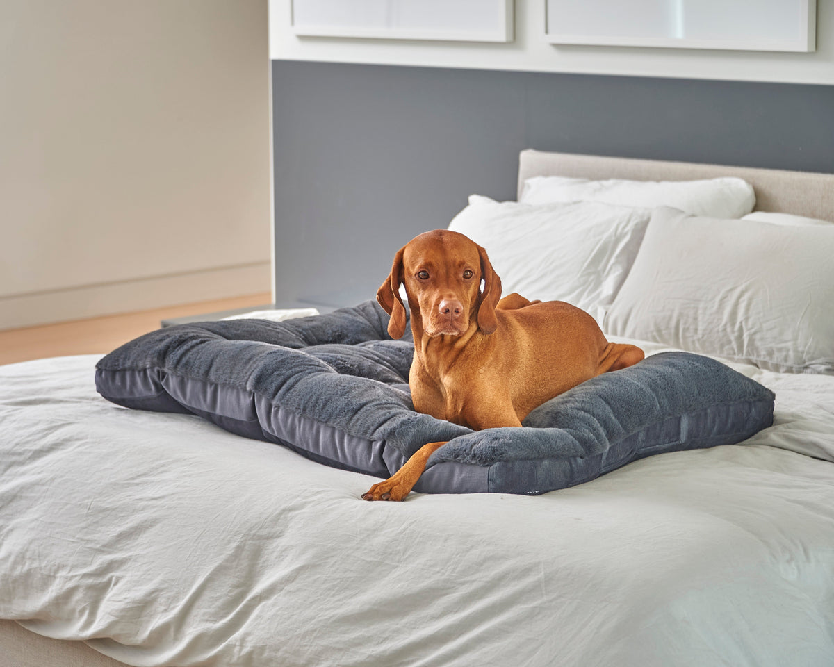 Bowsers Dream Futon Dog Bed - Cloud-Like Cushioning for Stretch-Out Sleep