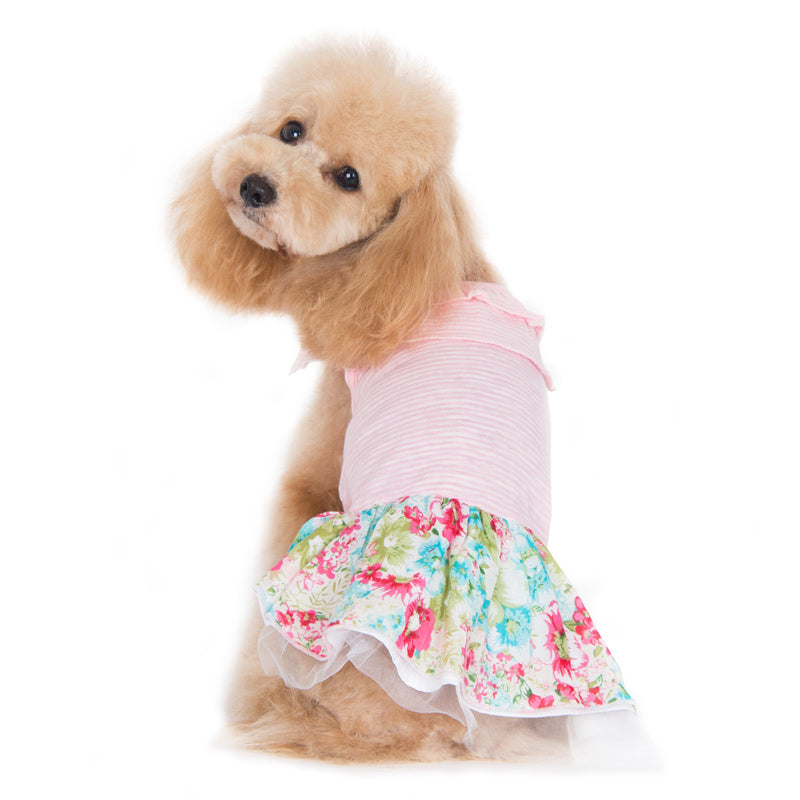 DOGO Dreamy Floral Dog Dress