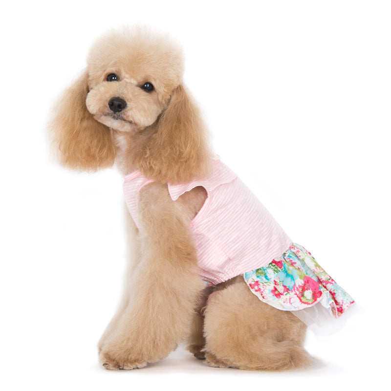 DOGO Dreamy Floral Dog Dress