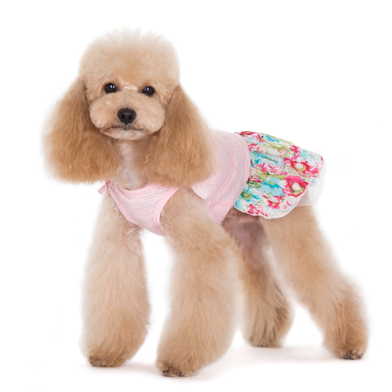 DOGO Dreamy Floral Dog Dress