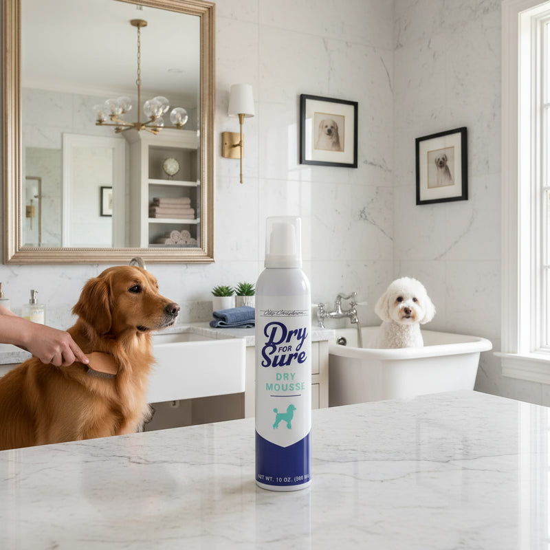 Dry For Sure Dry Mousse 10oz by Chris Christensen