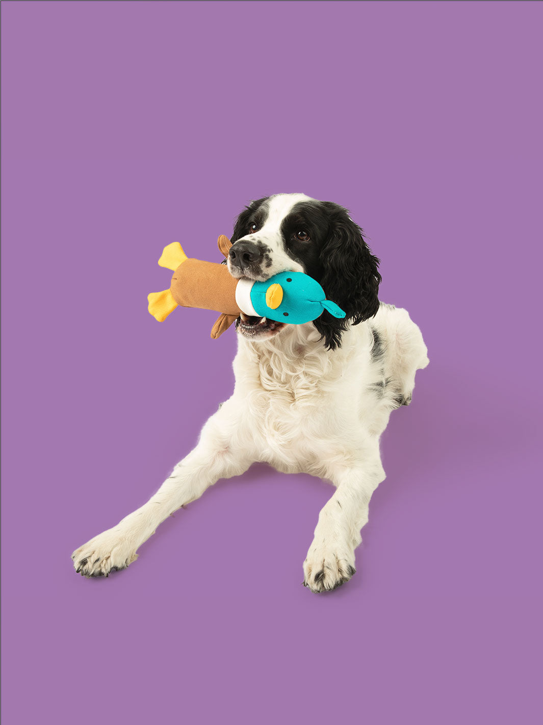 Quackers Plush Canvas Crinkle Dog Toy
