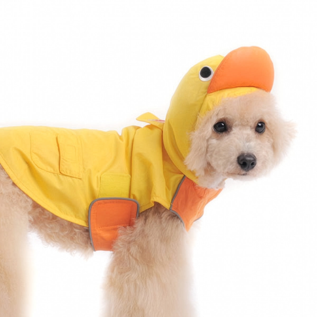 DOGO Duck Dog Raincoat