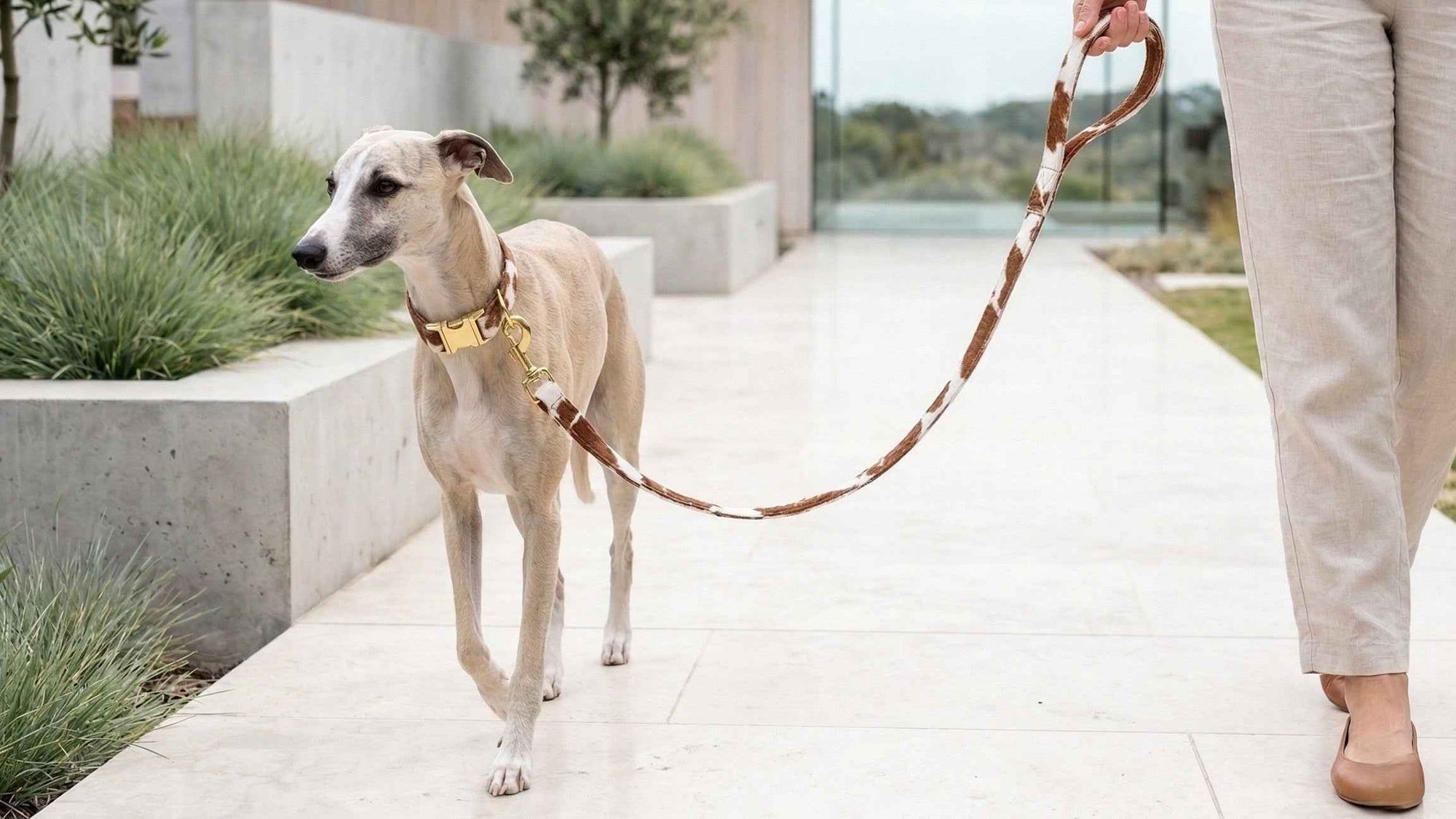 Bowsers Designer Dog Leash - Durable Style for Everyday Walks